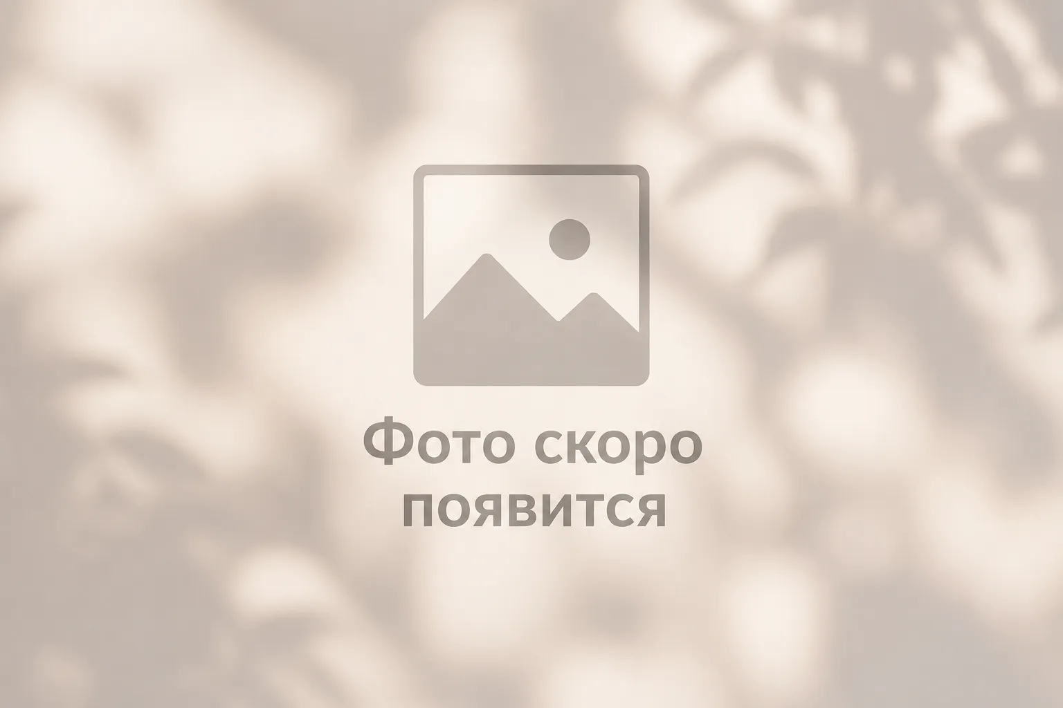 История спасения: Снежок — кот